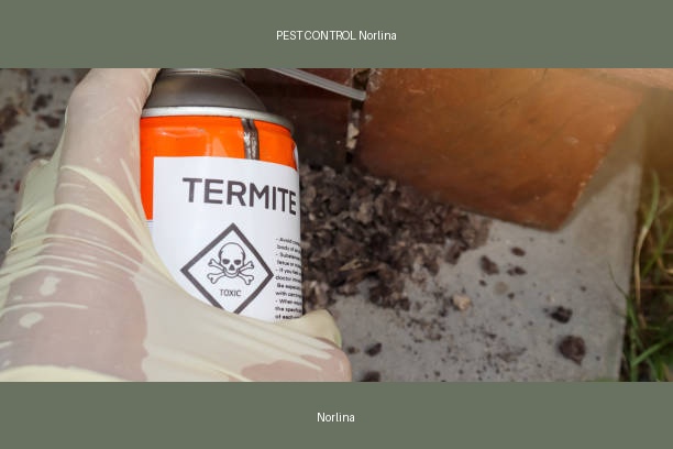 PEST CONTROL Norlina
